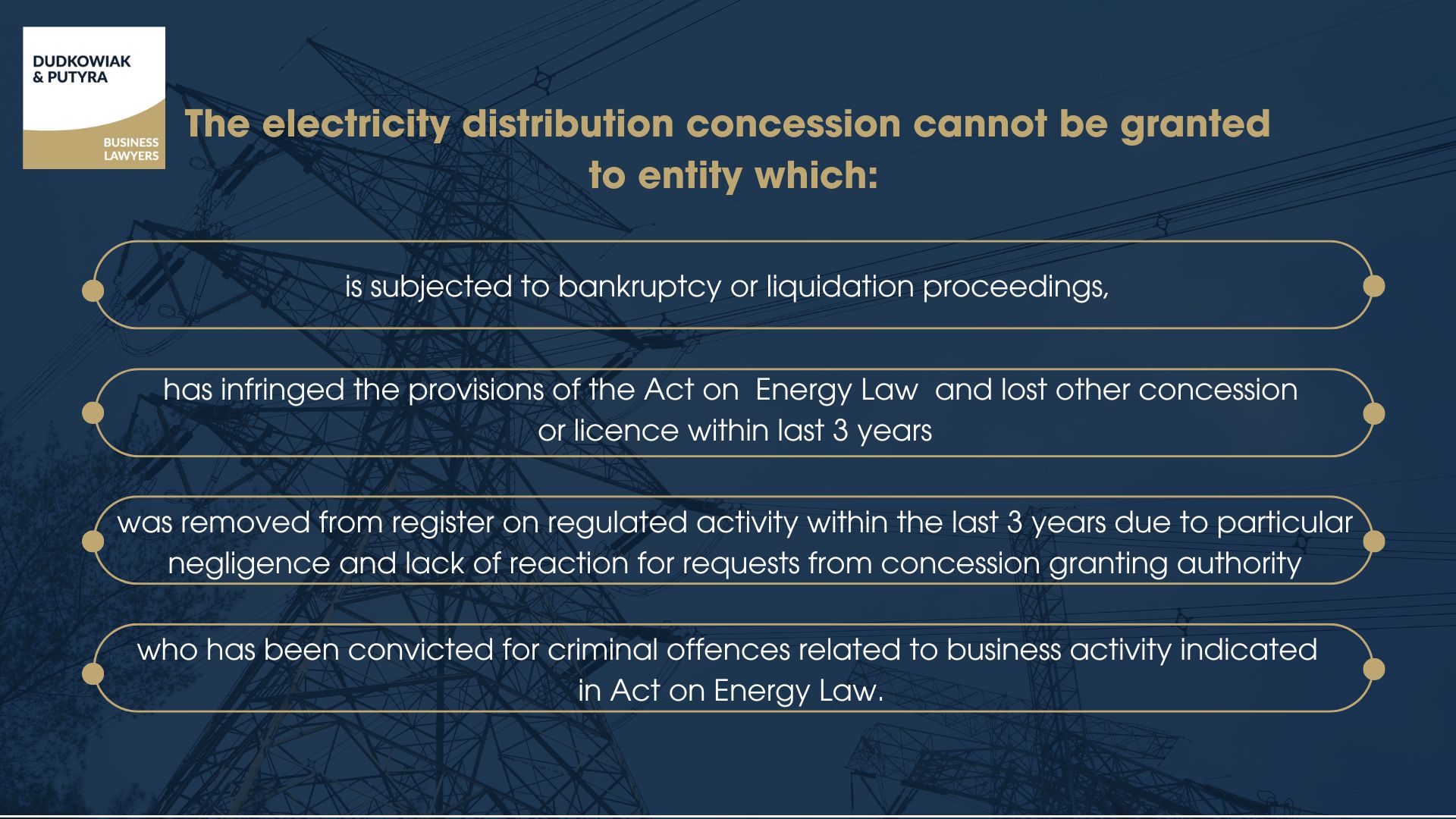 Who cannot obtain DEE electricity distribution concession in Poland?