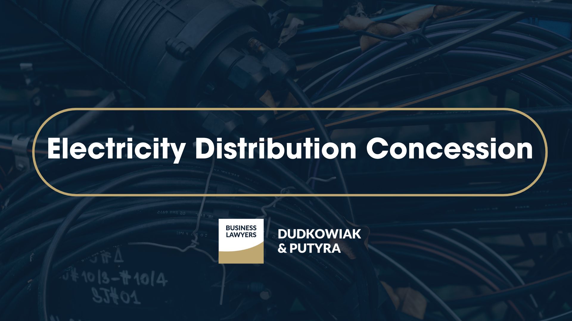 Electricity trading concession in Poland